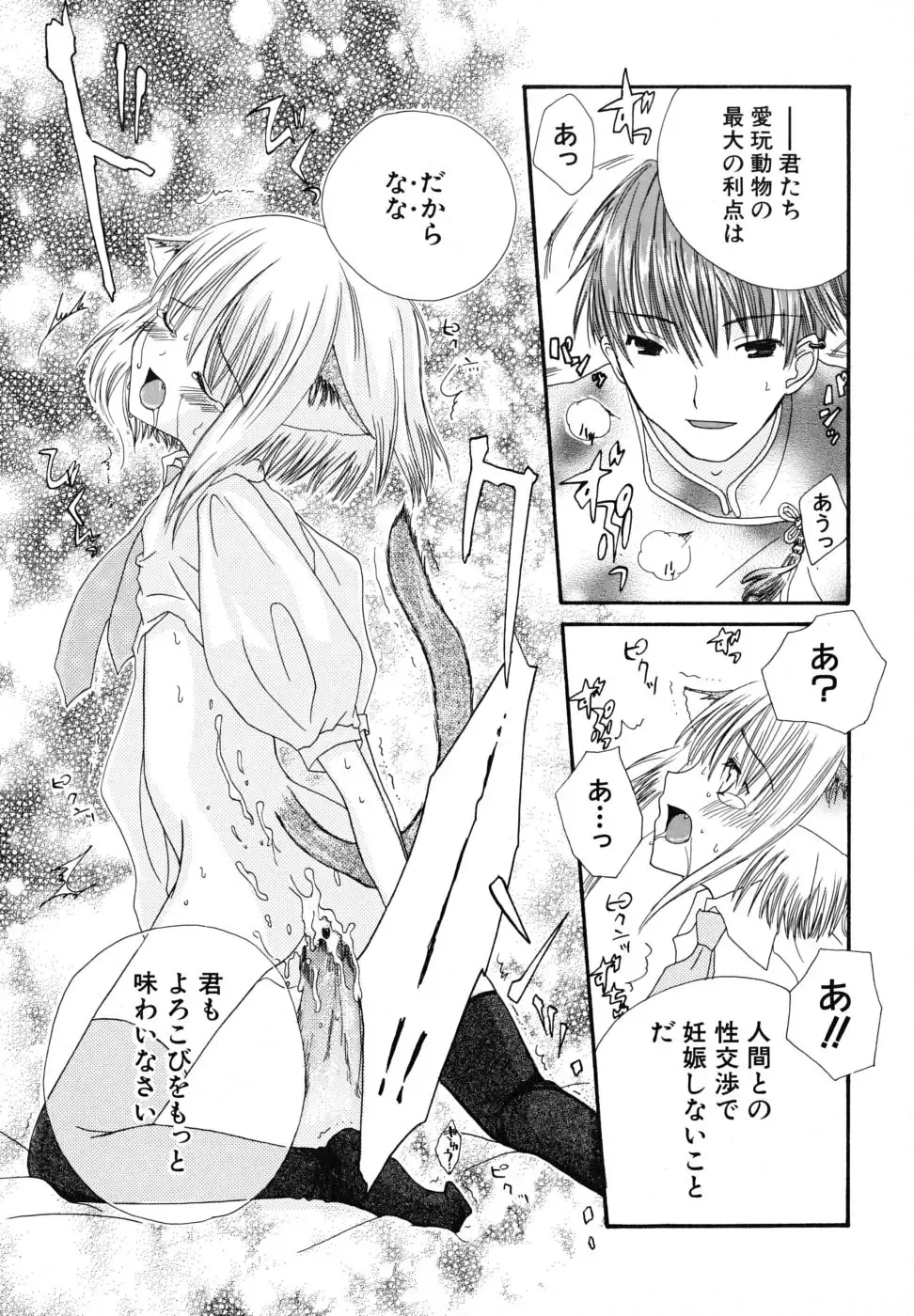 [Kirihara Kotori] Seijunbyou Fhentai - Page 104