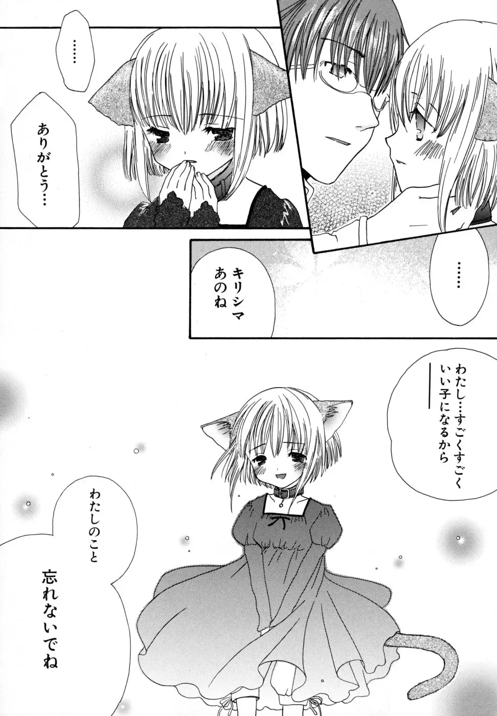 [Kirihara Kotori] Seijunbyou Fhentai - Page 153