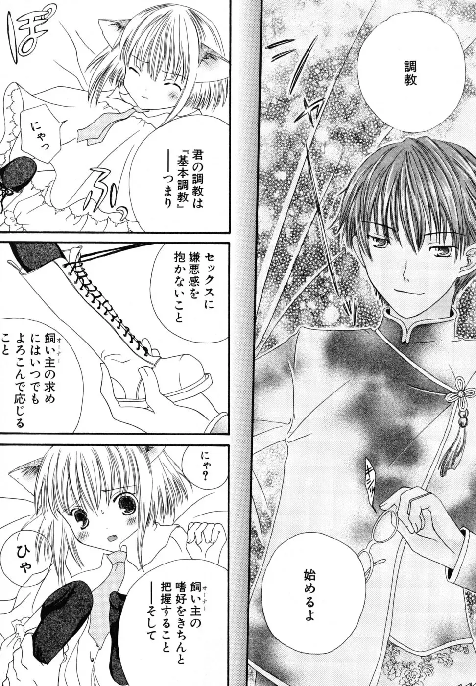 [Kirihara Kotori] Seijunbyou Fhentai - Page 99