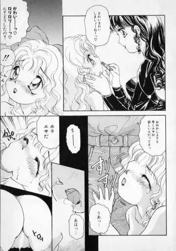 [The Amanoja9] STRANGE SEX Fhentai.net - Page 17