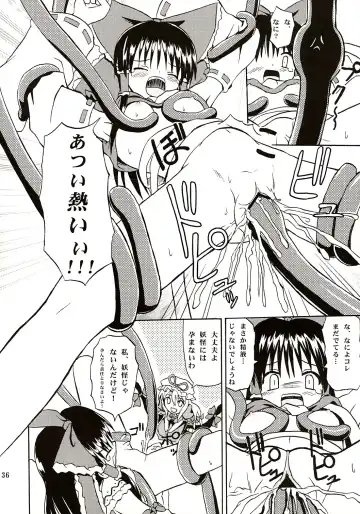 [Takaku Toshihiko] Touhou Youjo Ranbu Fhentai - Page 35