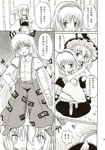 [Takaku Toshihiko] Touhou Youjo Ranbu Fhentai - Page 8