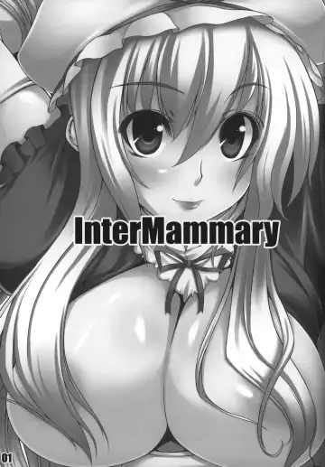[Oohira Sunset] Inter Mammary Fhentai - Page 3