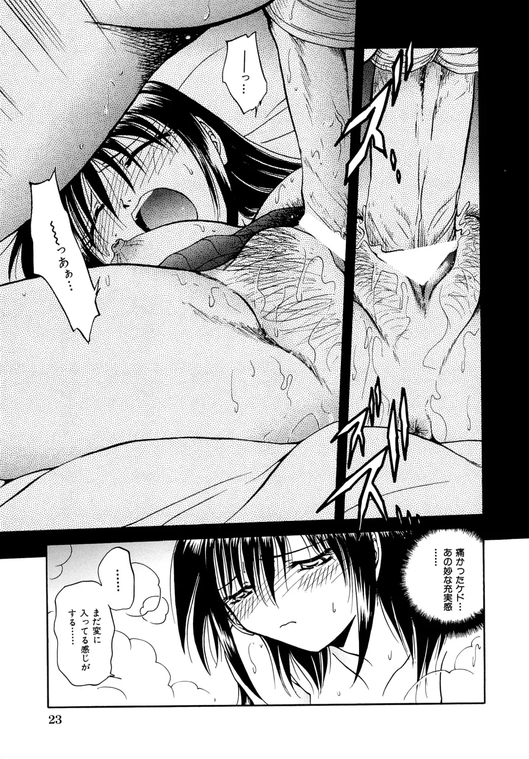 [Sakaguchi Shizuka - Shizuka] Futago Shimai Ryoujoku Fhentai - Page 25