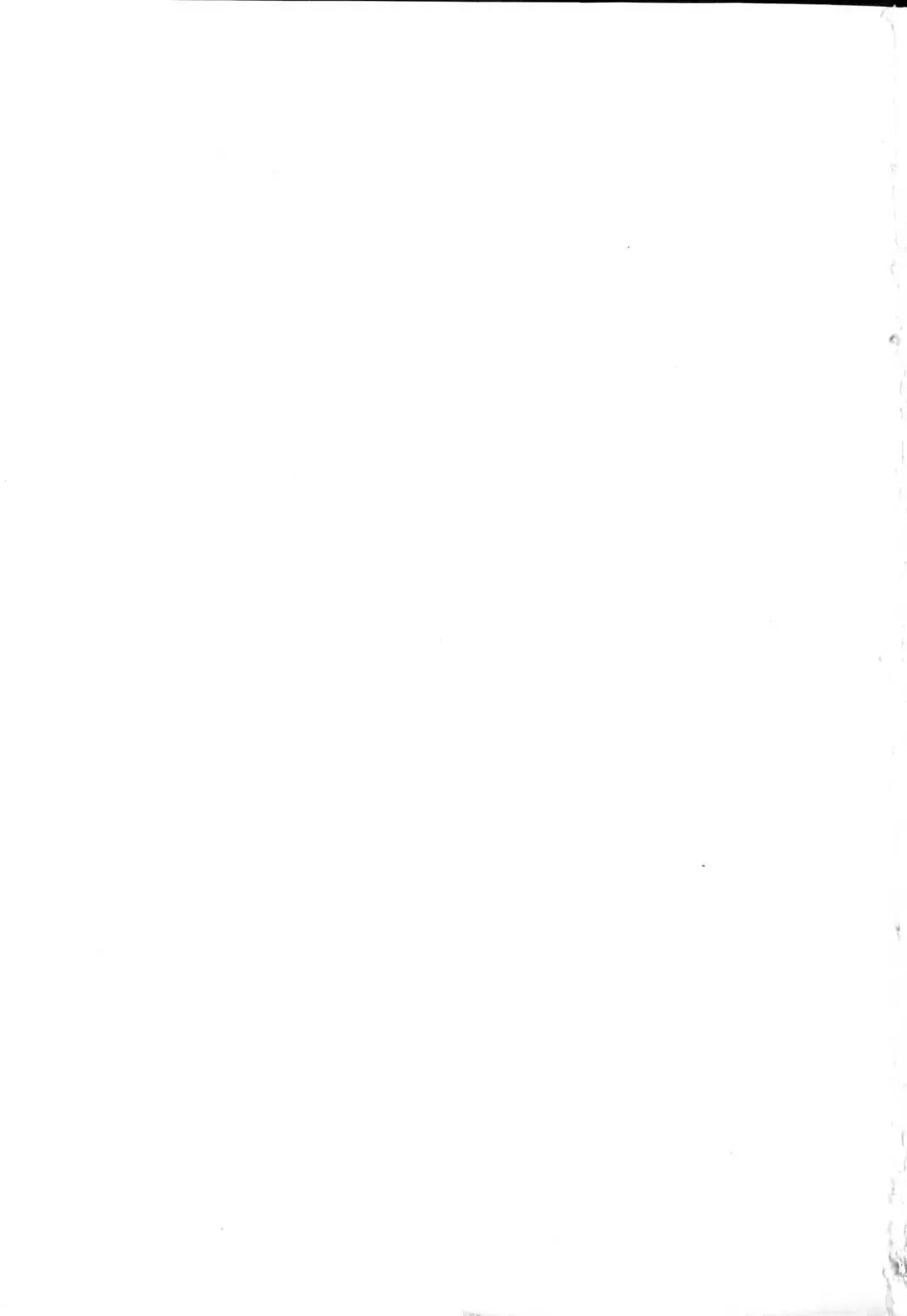 Futanarikko Please Fhentai - Page 167