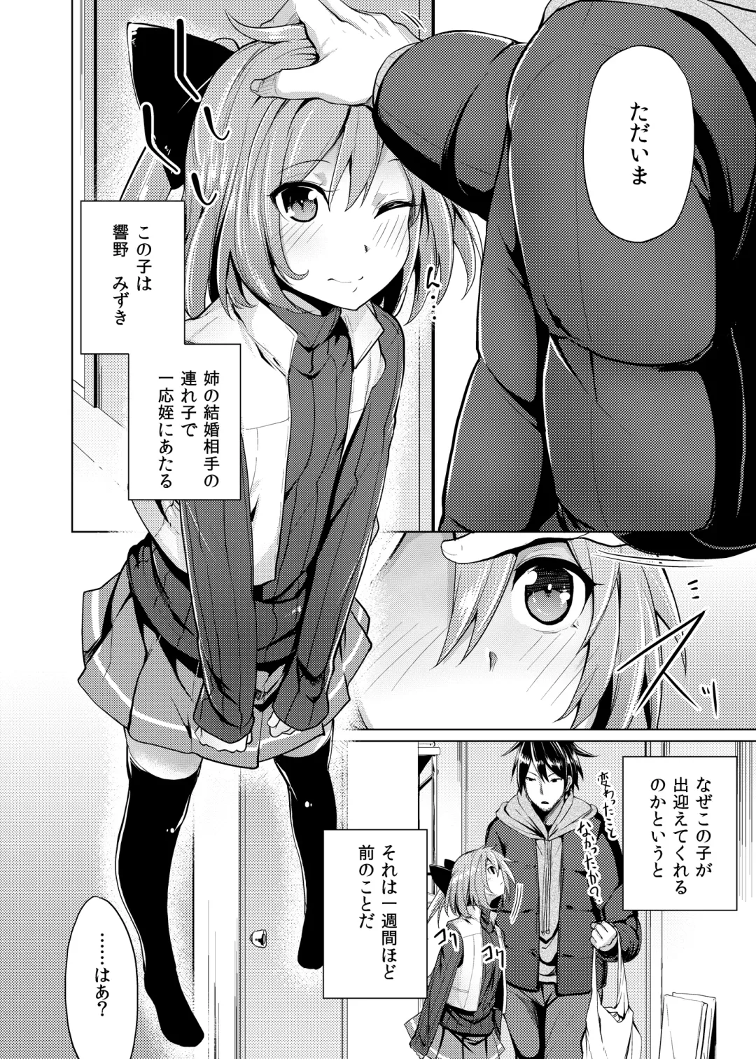 [Moketa] Hanamizuki Fhentai - Page 3