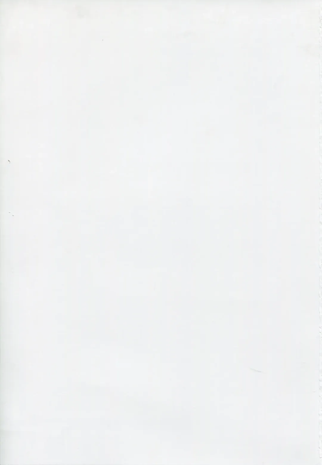 [Saito Sakae] Yuusha, Maou o Motomeru Fhentai - Page 23