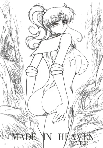 [Kuroinu Juu] MADE IN HEAVEN -JUPITER- Fhentai - Page 3