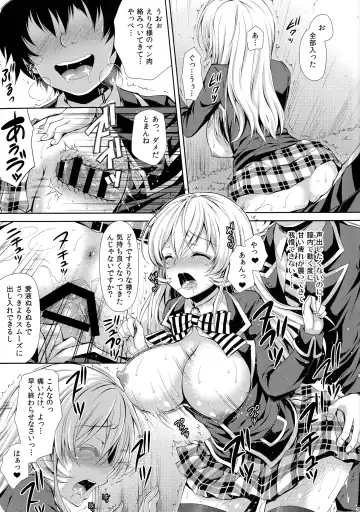 [Crowe] Erina-sama wa Ore no Seidorei Fhentai - Page 20