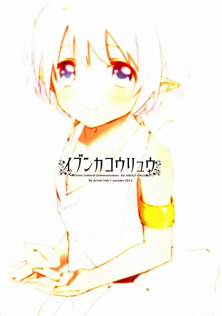 [Miyoshi] Ibunka Kouryuu - Cross Cultural Communication Fhentai - Page 29