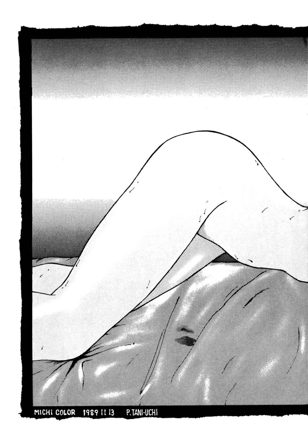 [Aratamaru - Horikawa Gorou - Towai Raito] Necuranomicon 4 Fhentai - Page 17