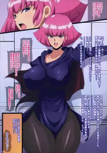 [Chiro] The Sennou ZZ Fhentai - Page 12