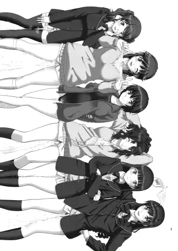 [Kitani Sai] Haisetsu Shukujo Fhentai - Page 2