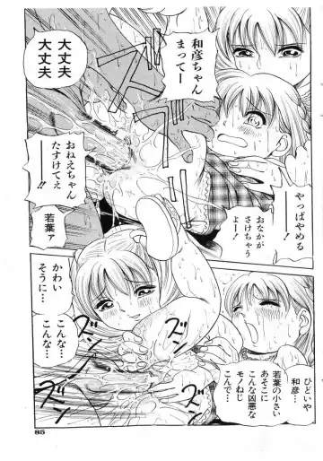 COMIC Shoujo Tengoku 2005-07 Fhentai - Page 83