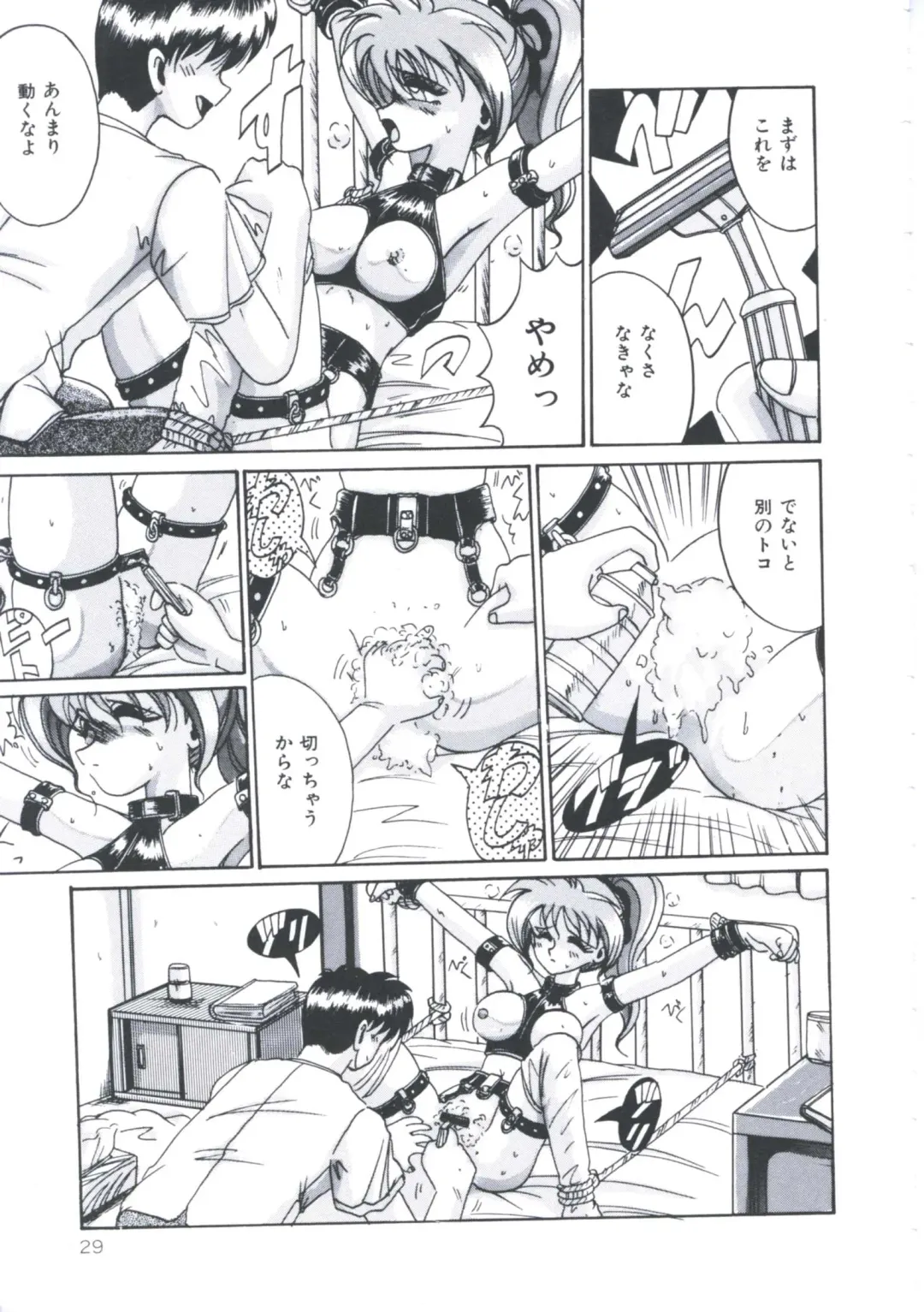 [Irotsuki Sakari] Kawareteru Himegimi Fhentai - Page 31