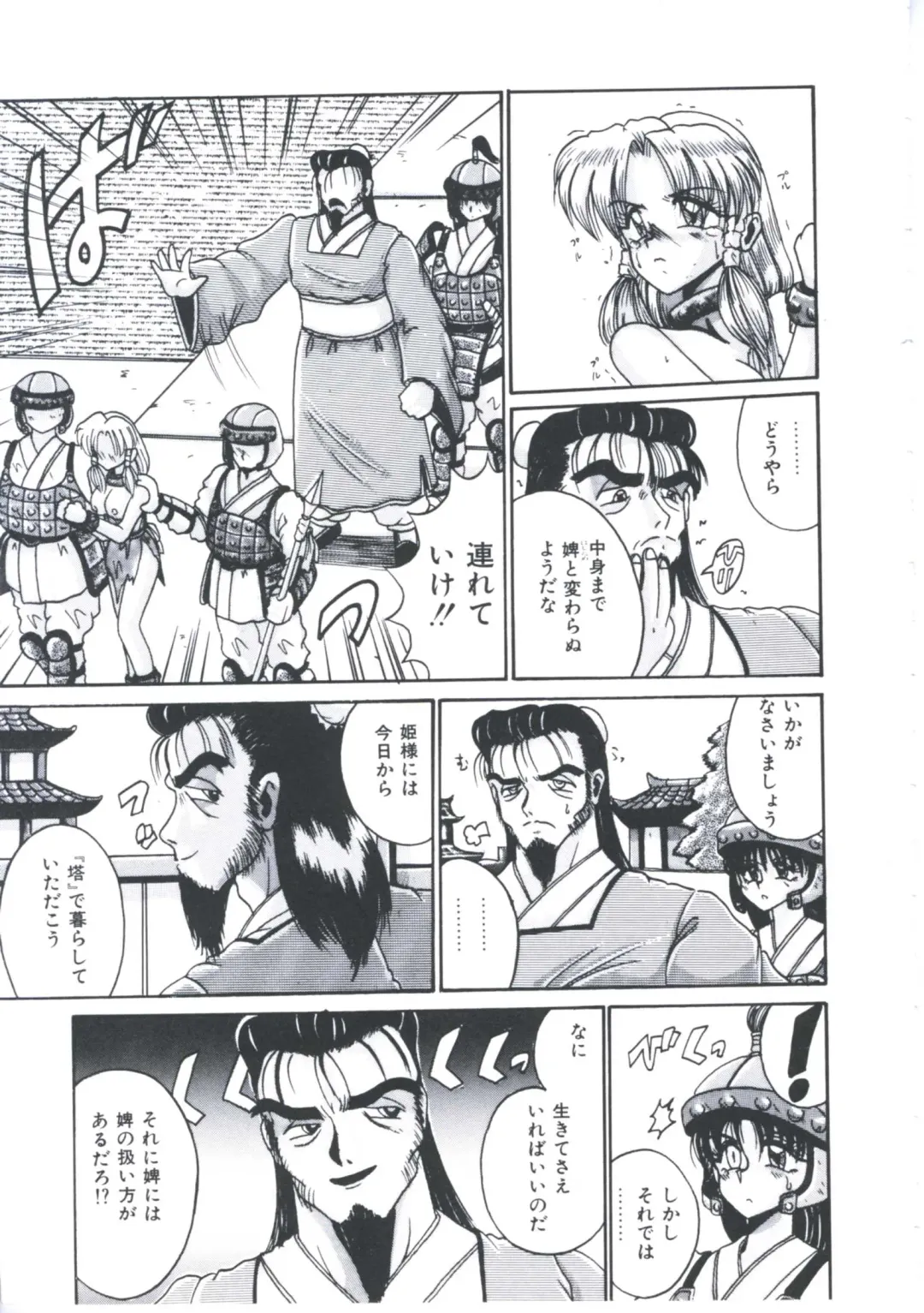 [Irotsuki Sakari] Kawareteru Himegimi Fhentai - Page 41