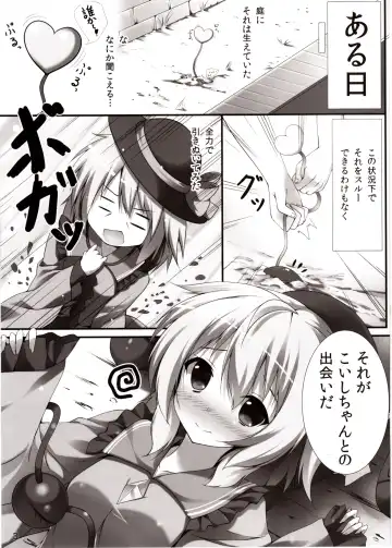 [Niro] Koishi Ecchi Fhentai.net - Page 2