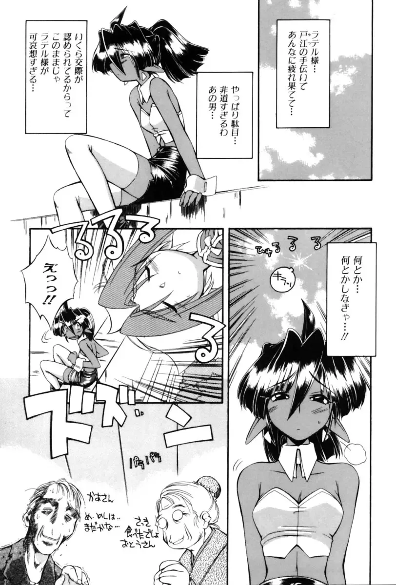 [Nakajima Rei] Saint Demonish Night Evolution Fhentai - Page 25