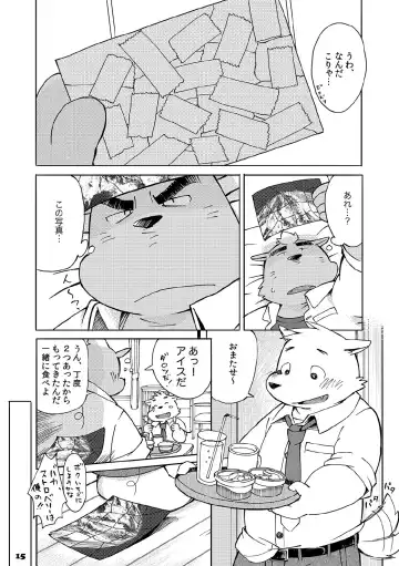 [Kinoshita Jiroh] Mekko Rarekko Fhentai - Page 14