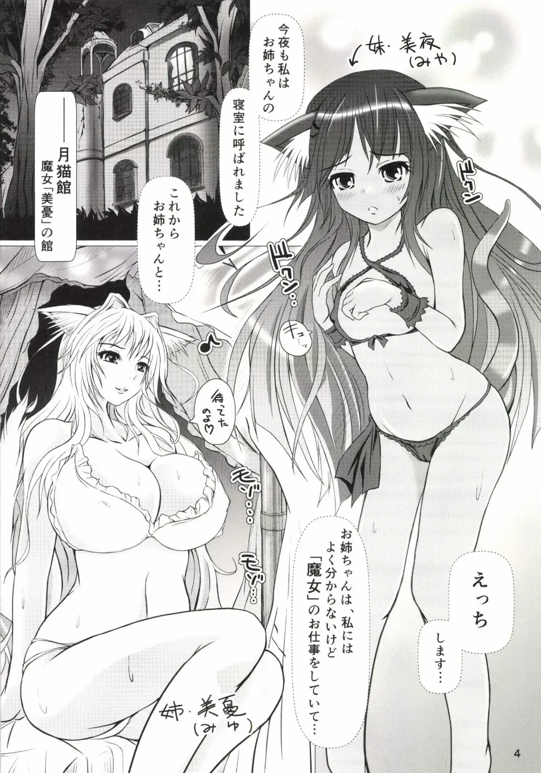 [Nekonta] Wet Sisters Fhentai - Page 4