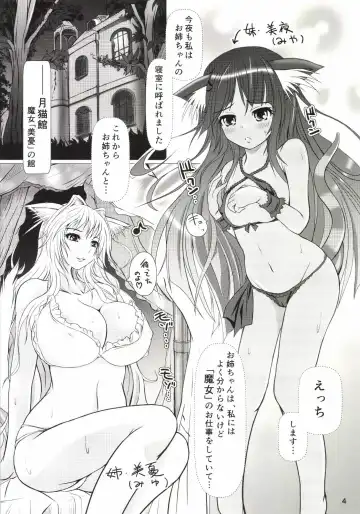 [Nekonta] Wet Sisters Fhentai - Page 4