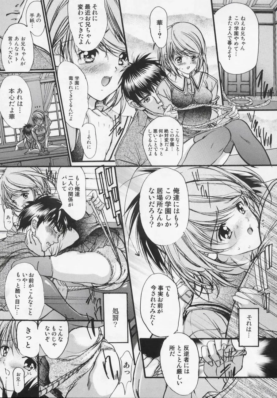 [Araki Kyouya] Masquerade Fhentai - Page 15