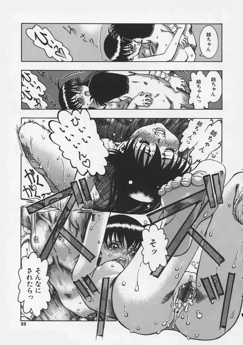 [Ashika] Hankouki Fhentai - Page 25