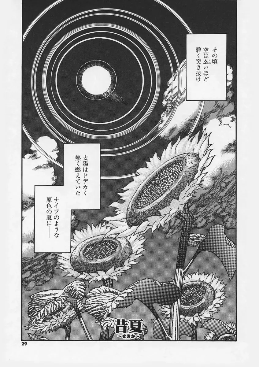 [Ashika] Hankouki Fhentai - Page 31