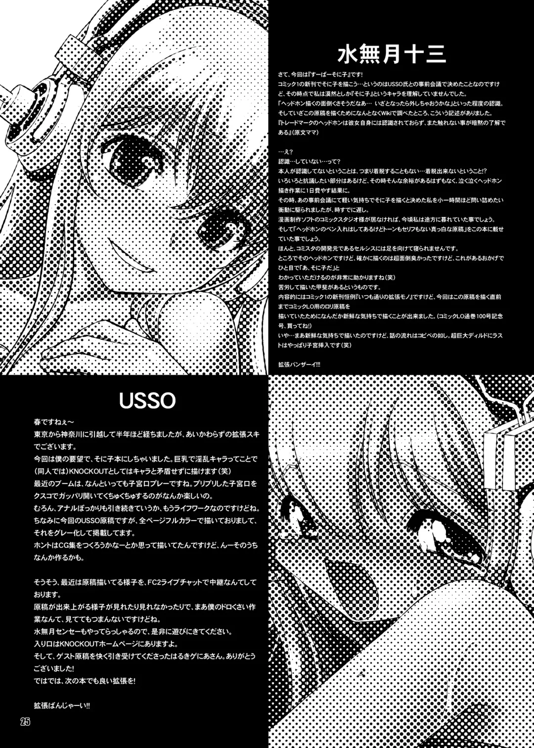 [Minazuki Juuzou - Usso] SONICO THE GAPE HOLE Fhentai - Page 13