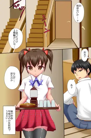 [Jan] Saimin Denpa de Imouto-tachi wo Ayatsuri Houdai Harem Fhentai - Page 23