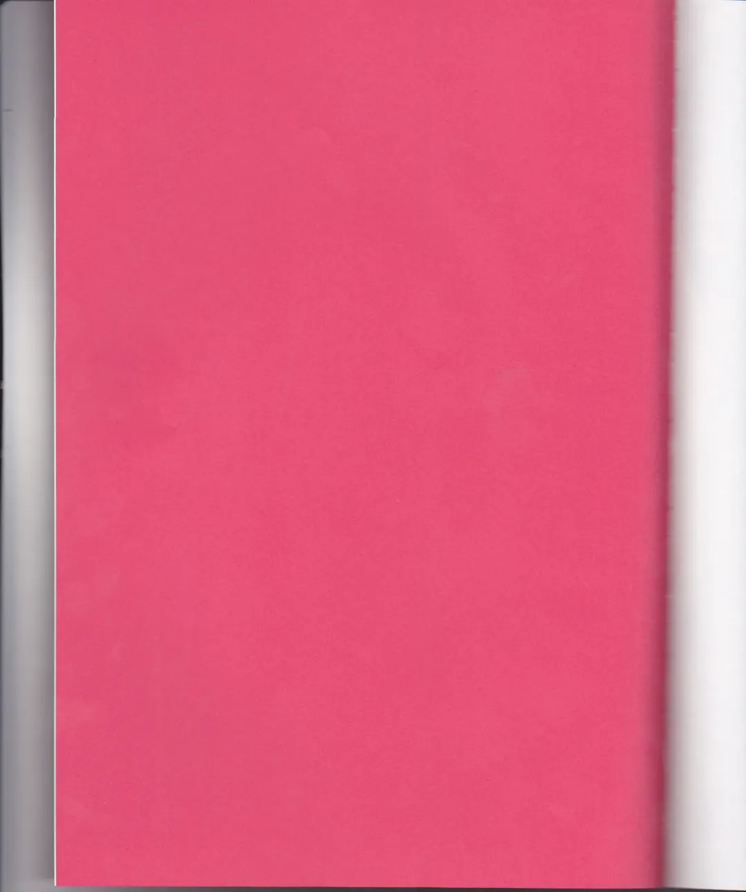 [G-10 - Ico] Biane to Gutei Fhentai - Page 2