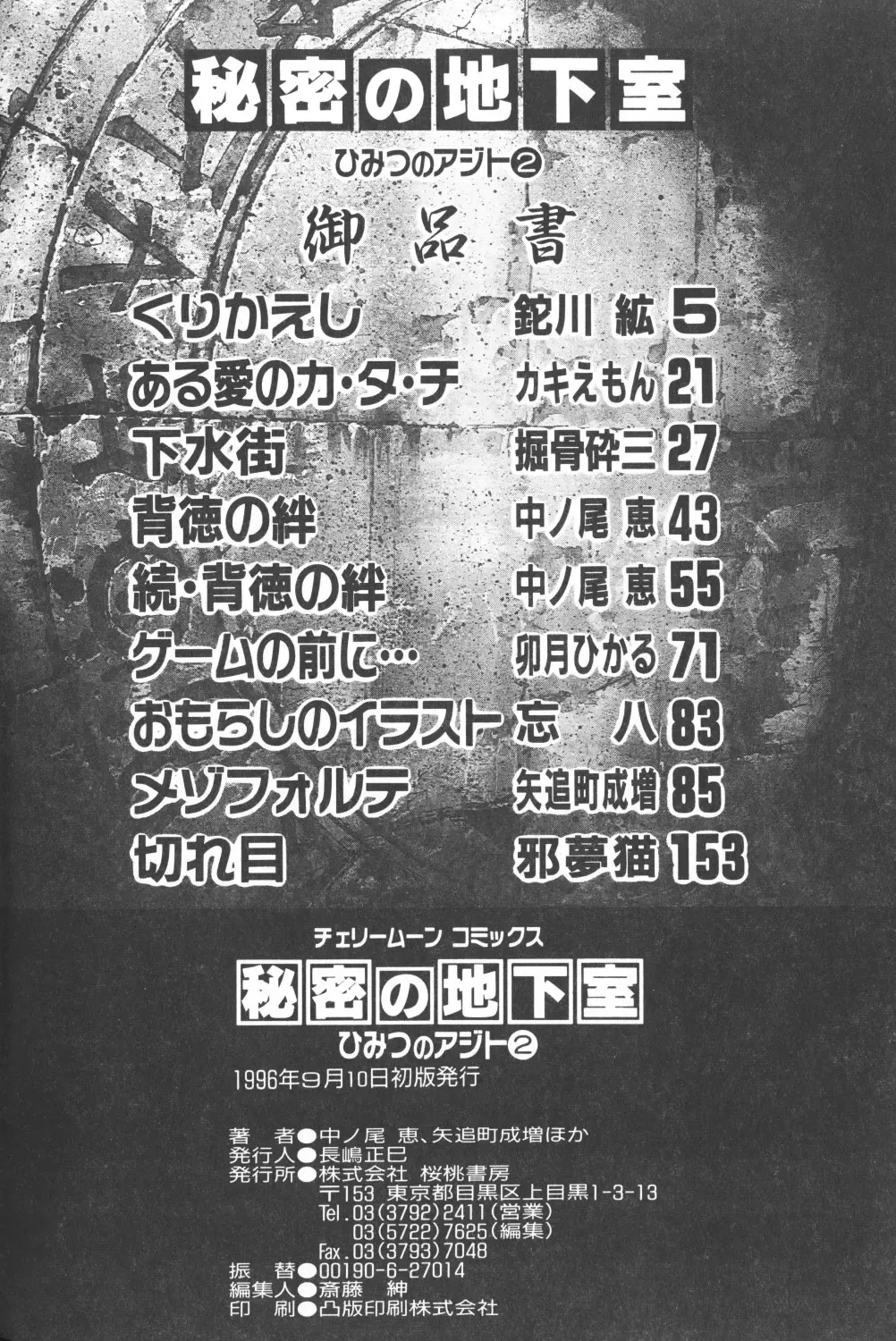 Himitsu no Chikashitsu Vol.2 Fhentai - Page 164