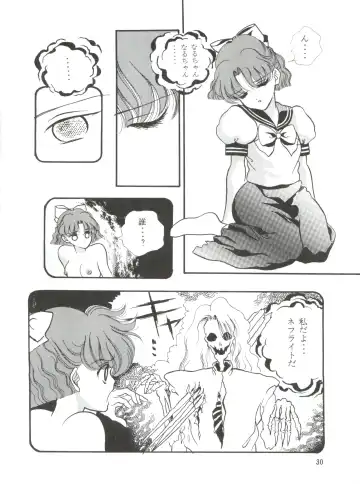 [Cashue] Moon Samsara Fhentai - Page 29