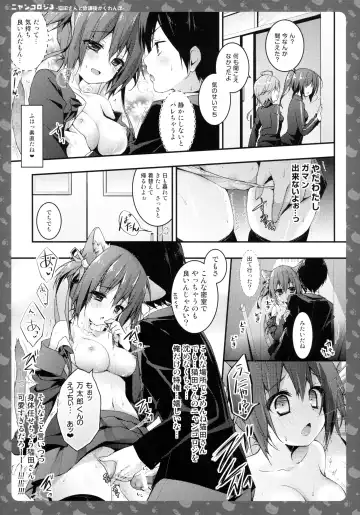 [Konomi] Nyancology 3 -Nekota-san To Houkago kakurenbo- Fhentai.net - Page 17