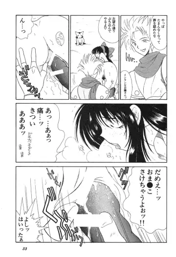 Shin Bishoujo Shoukougun 3 Yamato hen Fhentai.net - Page 34