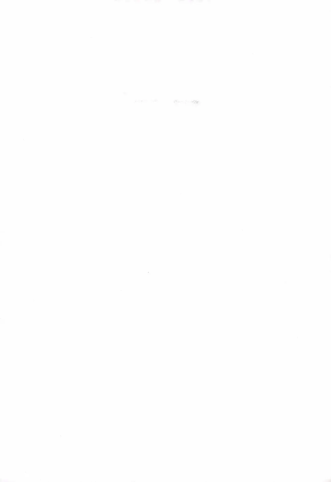 [Oosawa Ofuda] Shireikan no Otetudai Fhentai - Page 27