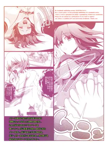 [Haitokukan] Touhou Toumei Ningen 2 Shinnyuu Renko n Chi Fhentai.net - Page 18