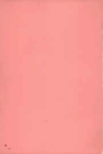 [Shinobu Tanei] Imouto Shojo Gensou Fhentai - Page 200