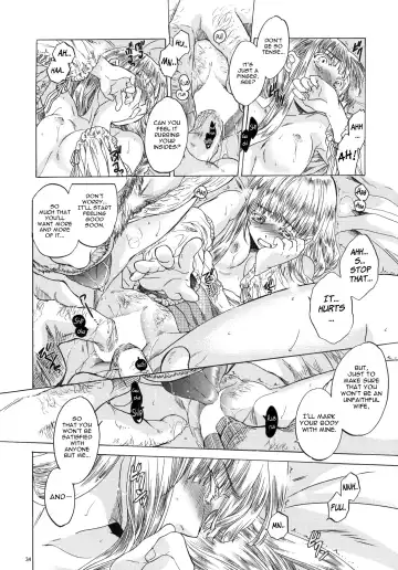 [Heizo - Kitoen] Saint Foire Festival 3 Richildis Fhentai - Page 33
