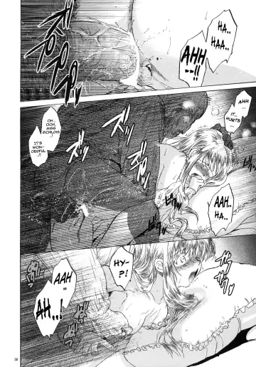 [Heizo - Kitoen] Saint Foire Festival 3 Richildis Fhentai - Page 37