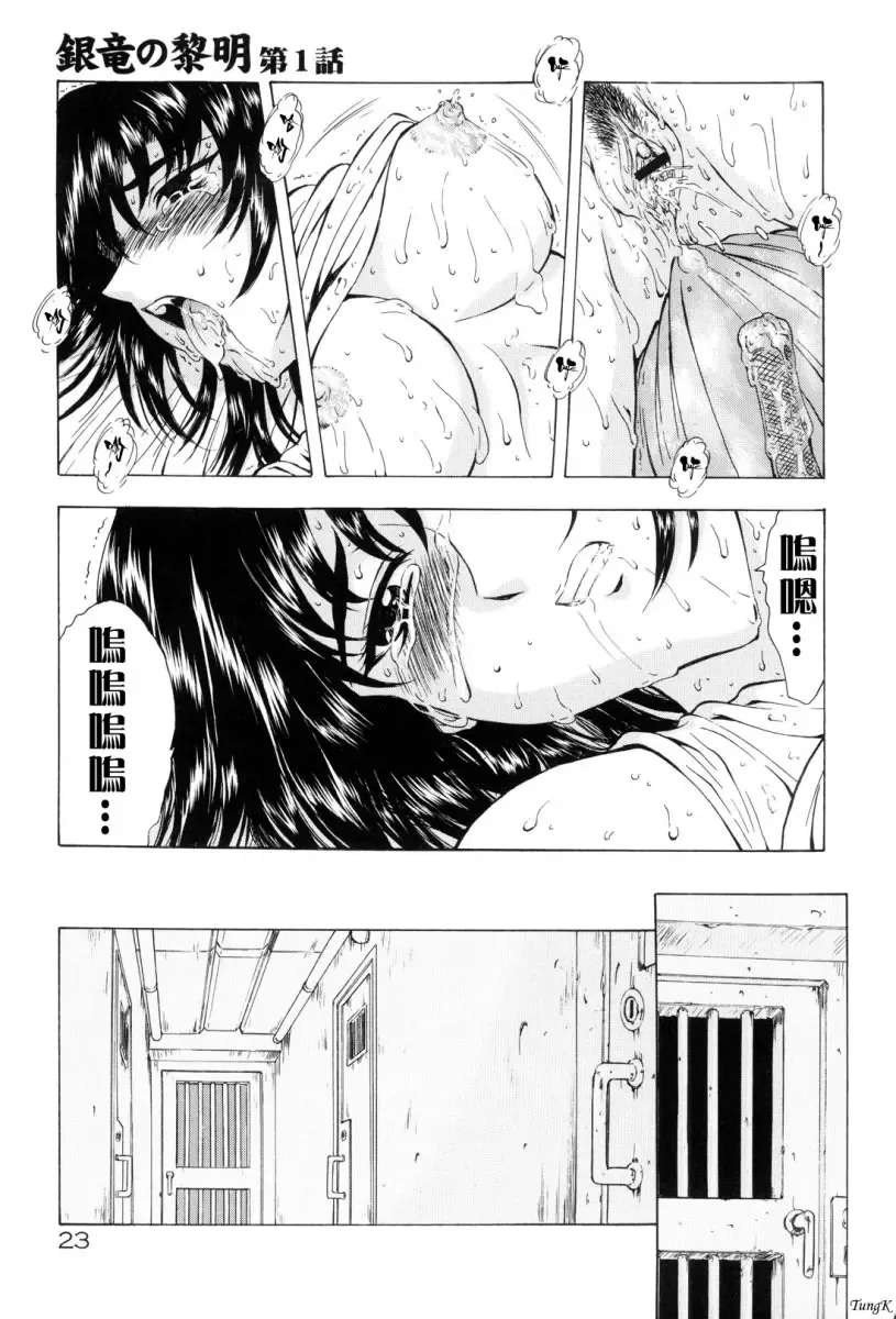 [Mukai Masayoshi] Ginryuu no Reimei Vol. 1 Fhentai.net - Page 26