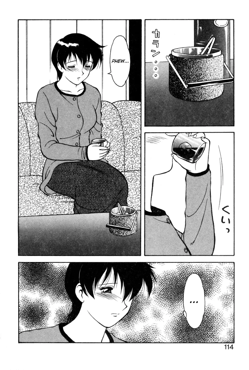 [Ogami Wolf] Shion no Yoru Aizouban | Night of Asters Fhentai - Page 112