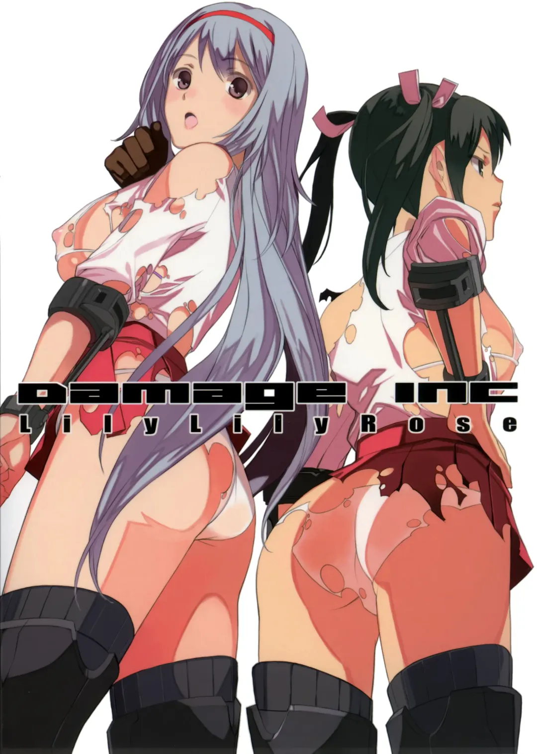 [Mibu Natsuki] DAMAGEinc Fhentai - Page 2