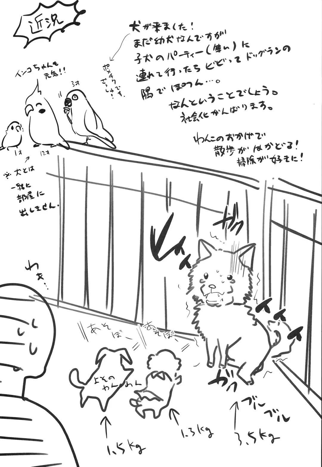 [Dynamite Moca] Match Uri no Otokonoko to Kime-seku Fhentai - Page 25