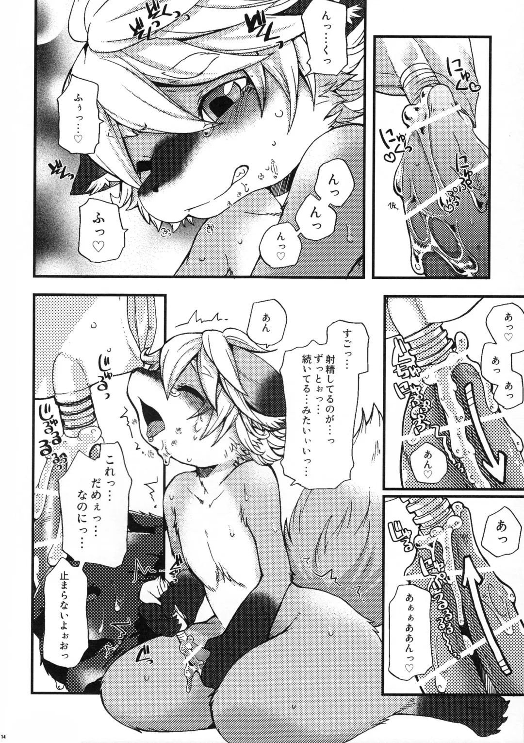 [Inumimi Moeta] Weider in charging Fhentai - Page 13