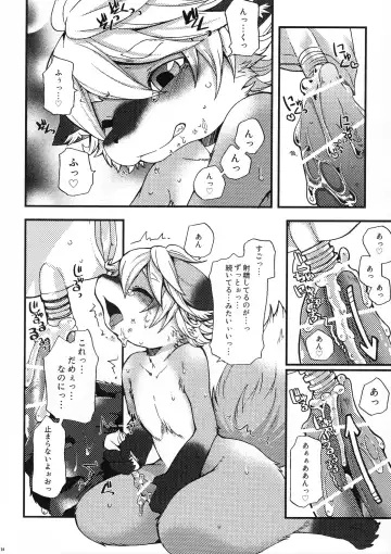 [Inumimi Moeta] Weider in charging Fhentai - Page 13