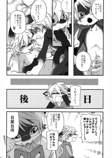 [Inumimi Moeta] Weider in charging Fhentai - Page 19