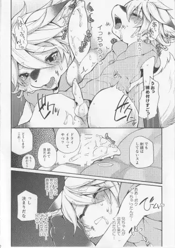 [Inumimi Moeta] Fancy Lincoln Fhentai - Page 15