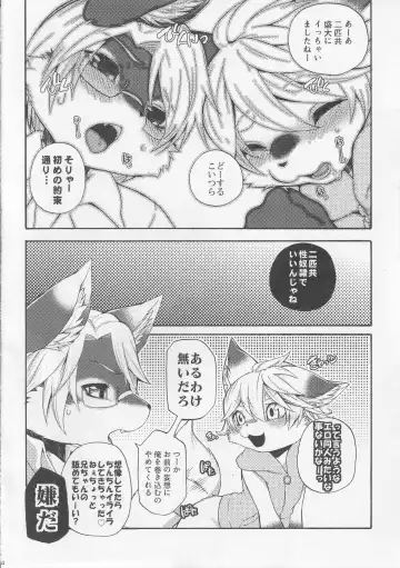 [Inumimi Moeta] Fancy Lincoln Fhentai - Page 23