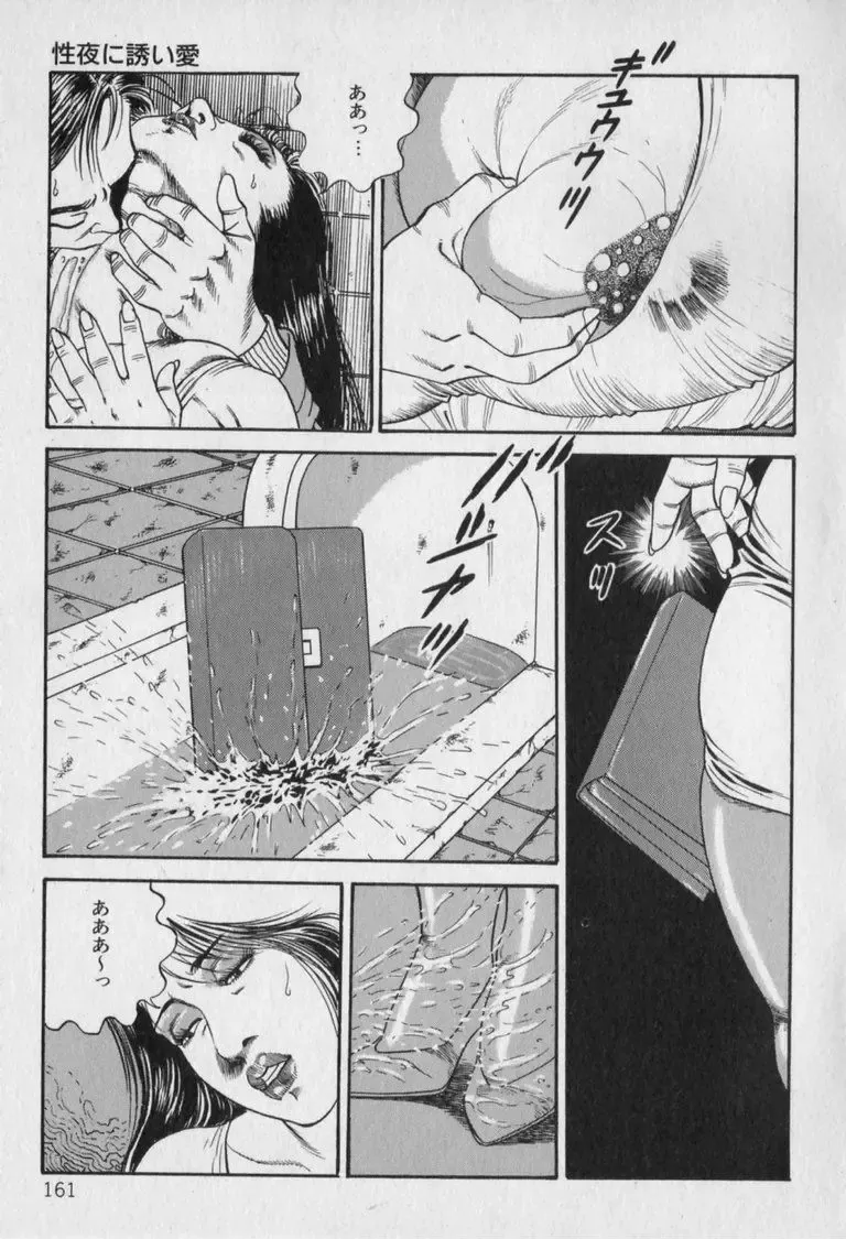 [Hachuu Rui] Innyuu Densetsu Fhentai - Page 163